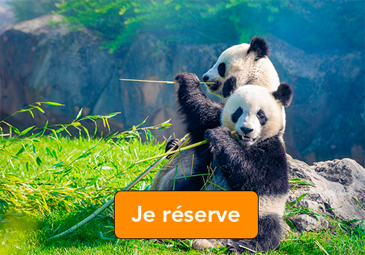 Zoo_jreserve